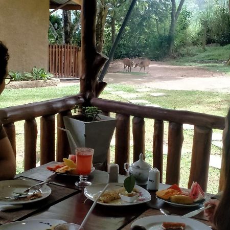 Saffron Eco Cottage Ella Luaran gambar