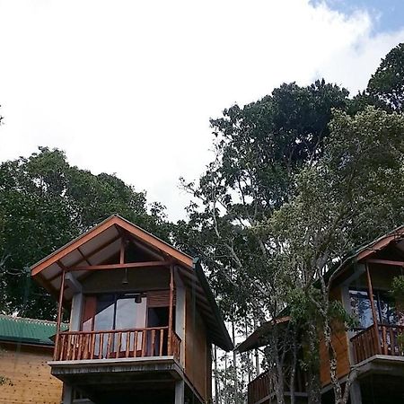 Saffron Eco Cottage Ella Luaran gambar