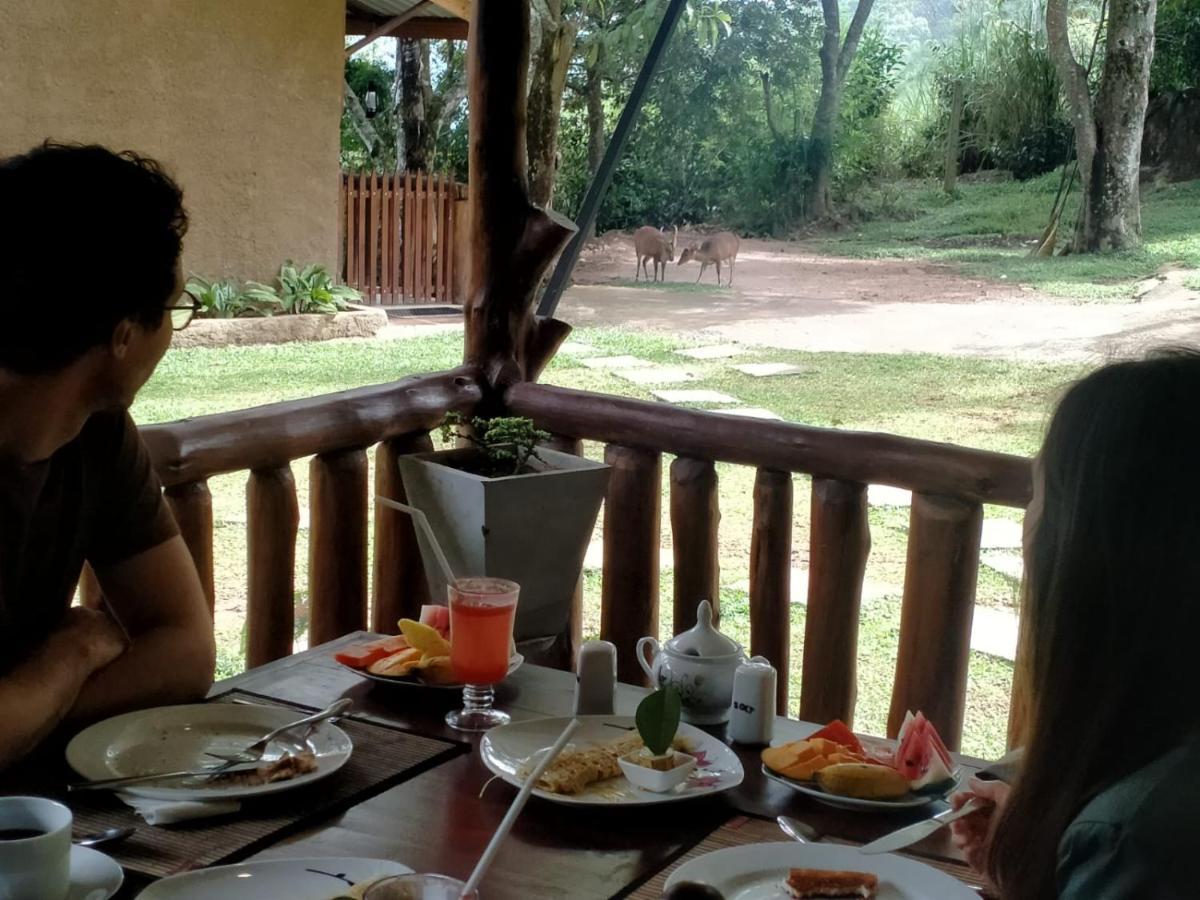 Saffron Eco Cottage Ella Luaran gambar