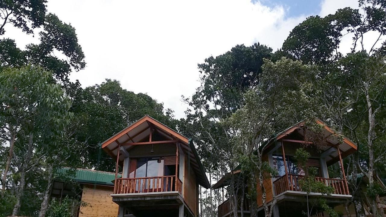 Saffron Eco Cottage Ella Luaran gambar