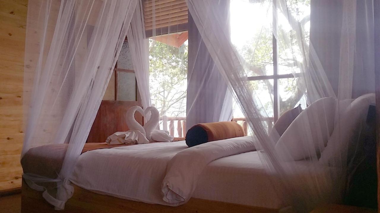 Saffron Eco Cottage Ella Luaran gambar