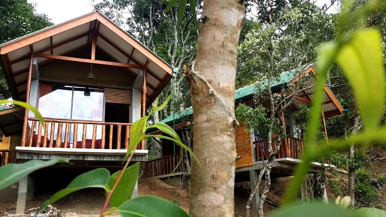 Saffron Eco Cottage Ella Luaran gambar