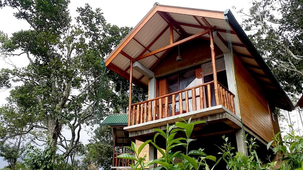 Saffron Eco Cottage Ella Luaran gambar